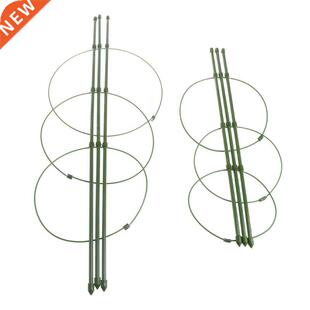 Garden Plant Support Climbing Plants 45cm 60cm Conical Trell