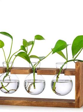 Fashion Hydroponic Vase Borosilicate Transparent Glass Bulb