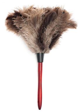 Feather Dusters Ostrich Duster With Wood Long Handle Brush E