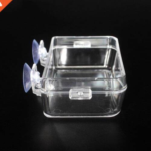Transparent Reptile Feeder Anti-escape Food Bowl Turtle Liza