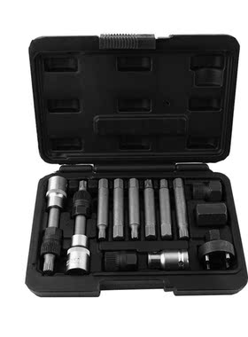 13 Pcs Alternator Freewheel Pulley Removal Socket Bit Set Ga