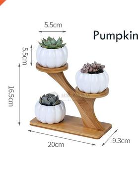 1 Set Ceramic Owl Garden Pots Modern Pumpkin Flowerpot Nurse