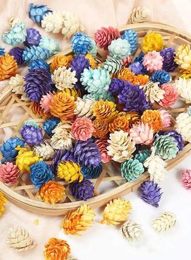 10pcs/lot Dried Flowers Pinecone Natural Plants For Epoxy Re