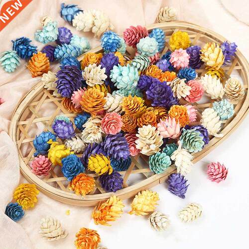 10pcs/lot Dried Flowers Pinecone Natural Plants For Epoxy Re