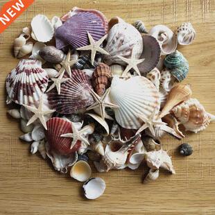 PCS Mixed Ocean Sea shells Wedding Decor Beach Theme Part