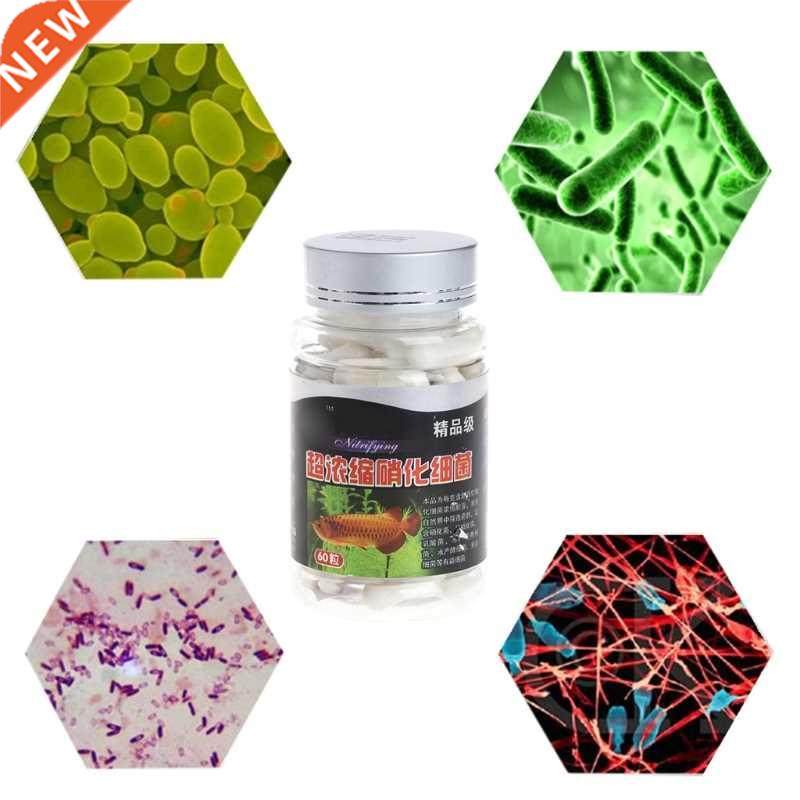 60 Pcs/1 Bottle Nitrifying Bacteria For Fresh Water And Mari