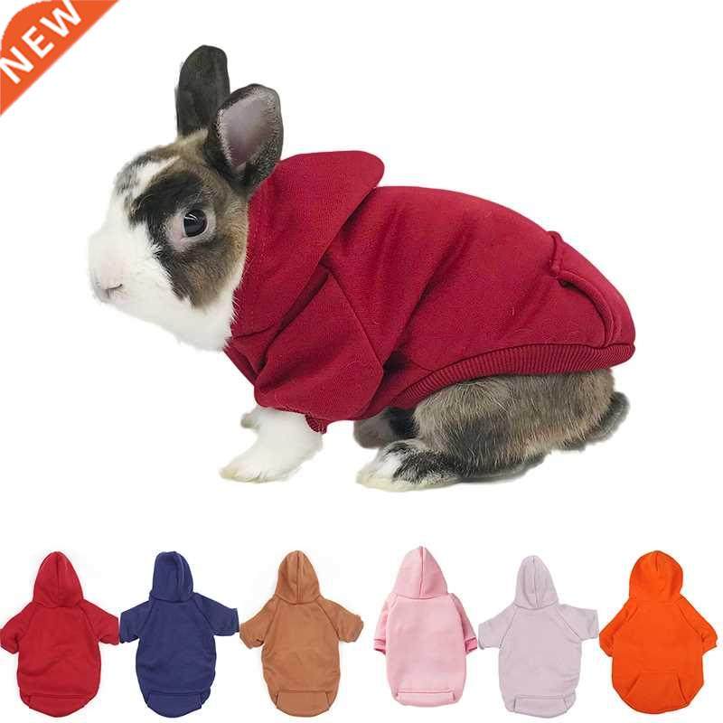 Rabbit Autumn and Winter Warm Sweater Bunny Pocket Two-legge