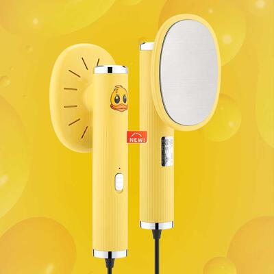 Handheld Garment Steamer Electric Ironing Machine for Clothe