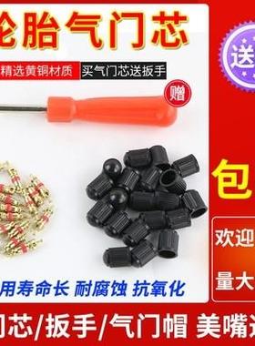 Car tire valve core universal electric otorcycle valve noz