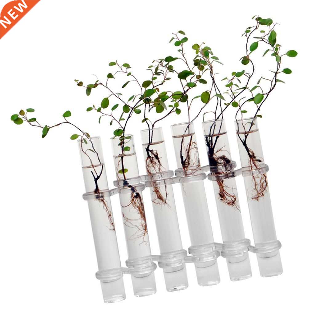 6Peces Creatve Glass Test Tubes Hangng Flower Bottle Mcr