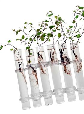 6Peces Creatve Glass Test Tubes Hangng Flower Bottle Mcr