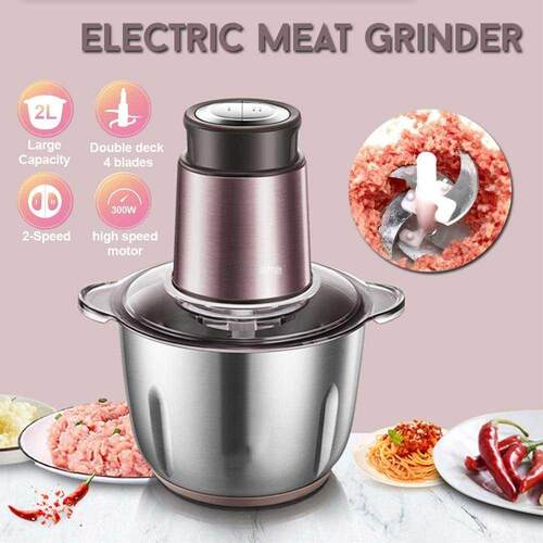 300W 220V 2L Stainless Steel Electric Meat Grinder 2-Speed H