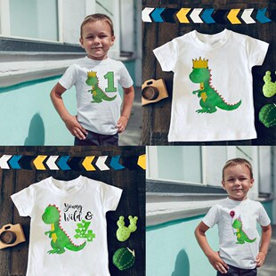 Dinosaur Birthday Shirt 1st Birthday T-Shirt Birthday Wild O