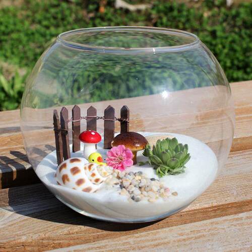 8/10/12/15CM Clear Glass Ball Vase Micro Landscape Succulent