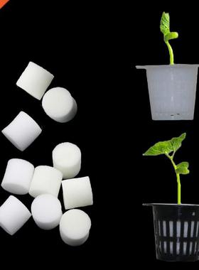 Soilless Hydroponic Vegetables Nursery Pots Nursery Sponge F
