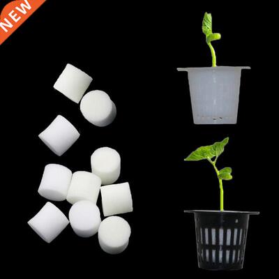 Soilless Hydroponic Vegetables Nursery Pots Nursery Sponge F