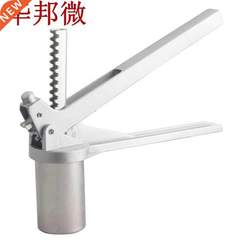 Home With 8 Moulds Noodle Maker Fruits Juicer Pasta Machine