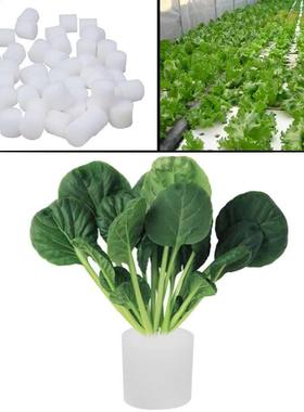 100pcs White Seedling Sponge Soilless Hydroponic Vegetables