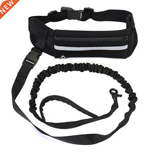 Retractable Elastic Leash Traction Rope Pet Dog Running Free