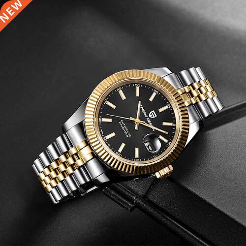 PAGANI DESIGN Luxury Men Watch Stainless Steel Waterproof M
