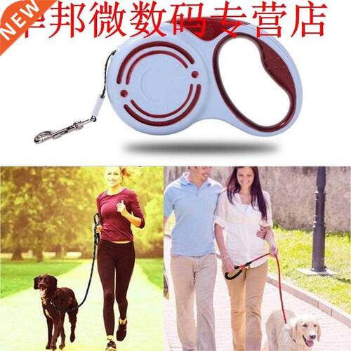 Dog Coll Training Leash Hness Puppy  Running Walking