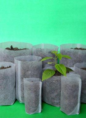 100 PCS 8 * 10CM Degradable Environmentally Friendly Seedlin