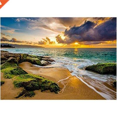 DIY Diamond Painting Kit, Round Full Drill Acrylic Craft Can