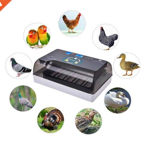 Dreamburgh Fm Hatchery Incubator Brooder Machine 4-35 Egg