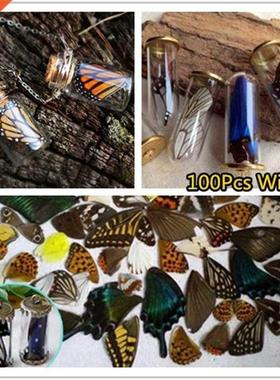 100Pcs/Set Real Natural Specimens Butterfly Wings DIY Jewel