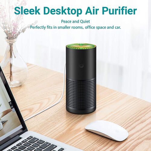 Air Purifiers for Home Car Allergies Pets Hair Smoke Dust Ai