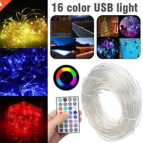 100 LED Strip Lights Remote Control Tube Rope Garland Fairy