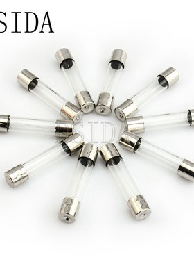 10pcs/lot Glass Tube Fuse 5*20mm 6*30mm 250V 0.5A 1A 2A 3A 3