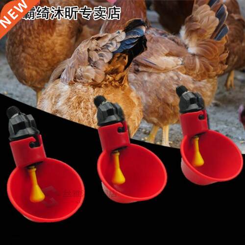 Portable Plastic Pigeon Chicken Drinker Water Equipment Feed