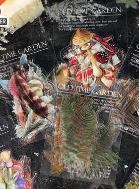 Mr.paper 40 Pcs 6 Desgns Butterfly Deco Dary Stcker Scra