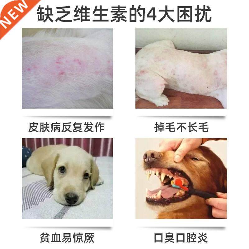 Pet nutrition liquid supplement vitamin B complex family dog