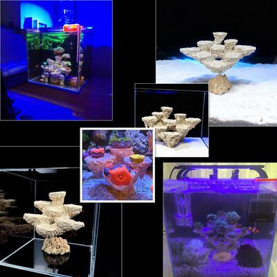 锐焦珊瑚基座支架小缸造景海缸补边景爪哇基拉戈干岩石免爆藻人造