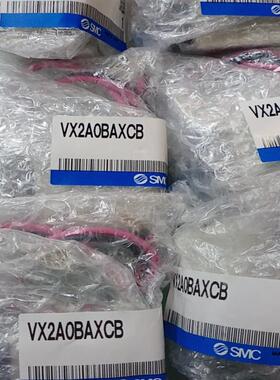 SMC电磁阀VX2A0BAXCB,20个，用的上(议价）