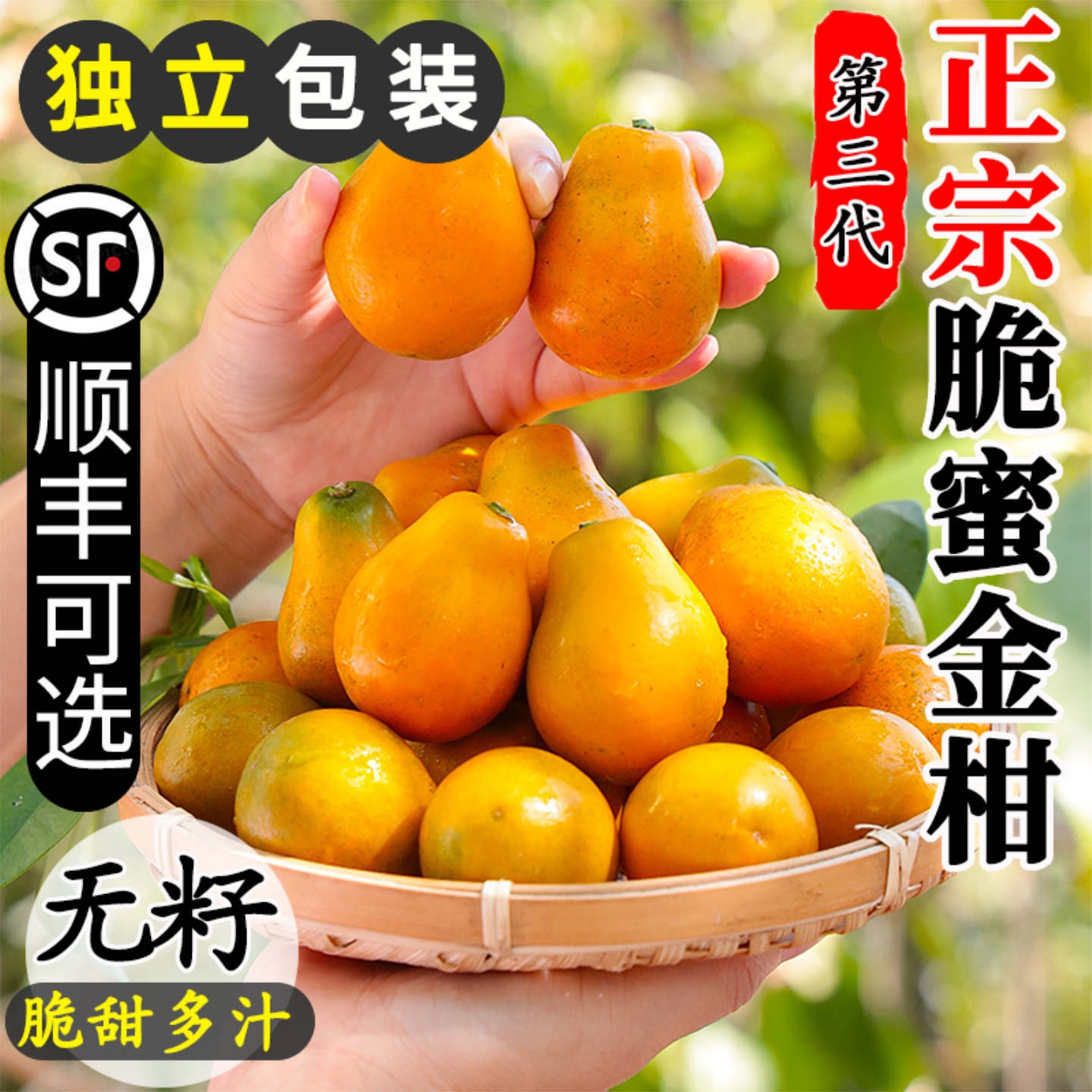 正宗广西脆蜜金柑5斤第三代鲜果当季新鲜水果小金桔金橘融安整箱3