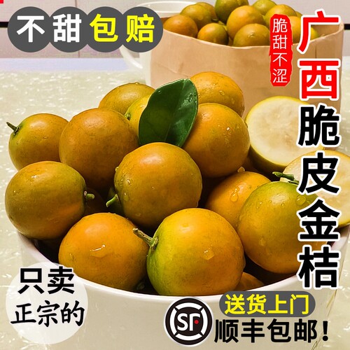 广西脆皮金桔丨纯甜不涩正宗