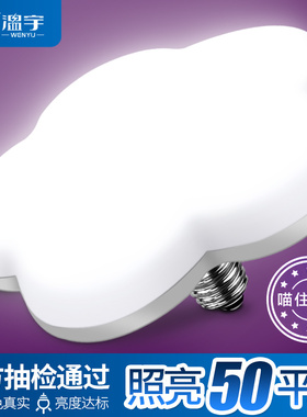 温宇LED灯泡超亮节能照明E27螺口吸顶灯飞碟灯白光家用电梅花创意