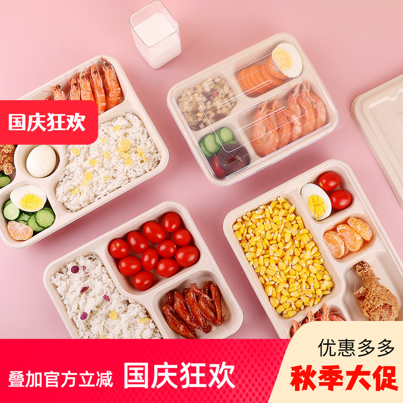 一次性餐盒轻食沙拉盒饭盒托盘