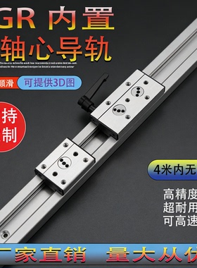 内置双轴心导轨SGR10 15N 20N滚轮锁紧滑块木工机械摄影高速滑台