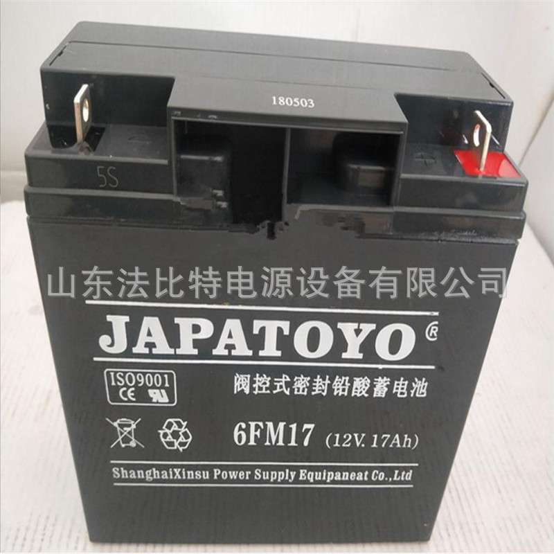 TOYO东洋蓄电池12V36AH 6GFM36免维护UPS不间断电源 质保三年
