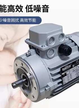 意大利TRANSTECNO诠世电机MS63B5 意大利TRANSTECNO马达交流电源