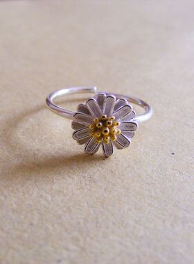 x022朴素银色立体女士小雏开口