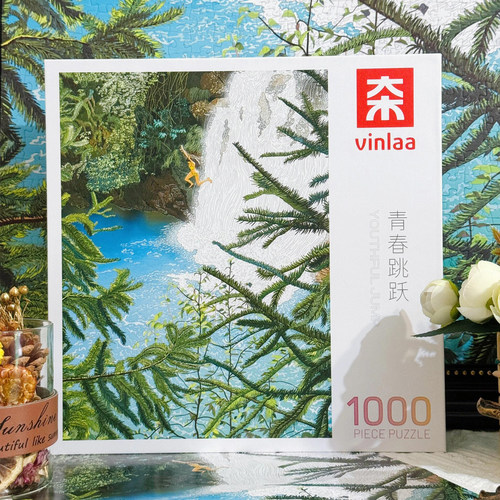 VINLAA拼图1000片青春跳跃礼品