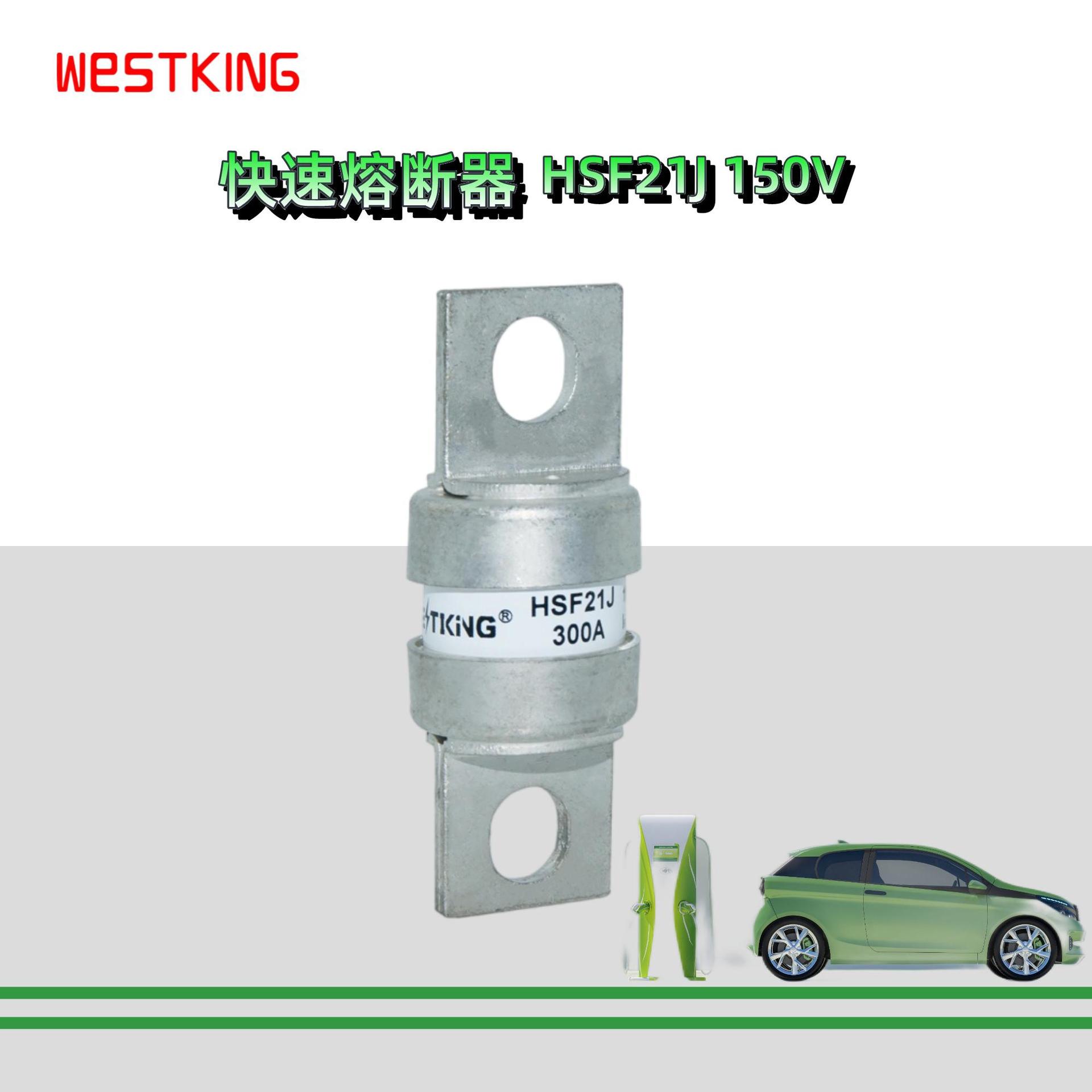 西霸F21J新能源150VD锂电池保护