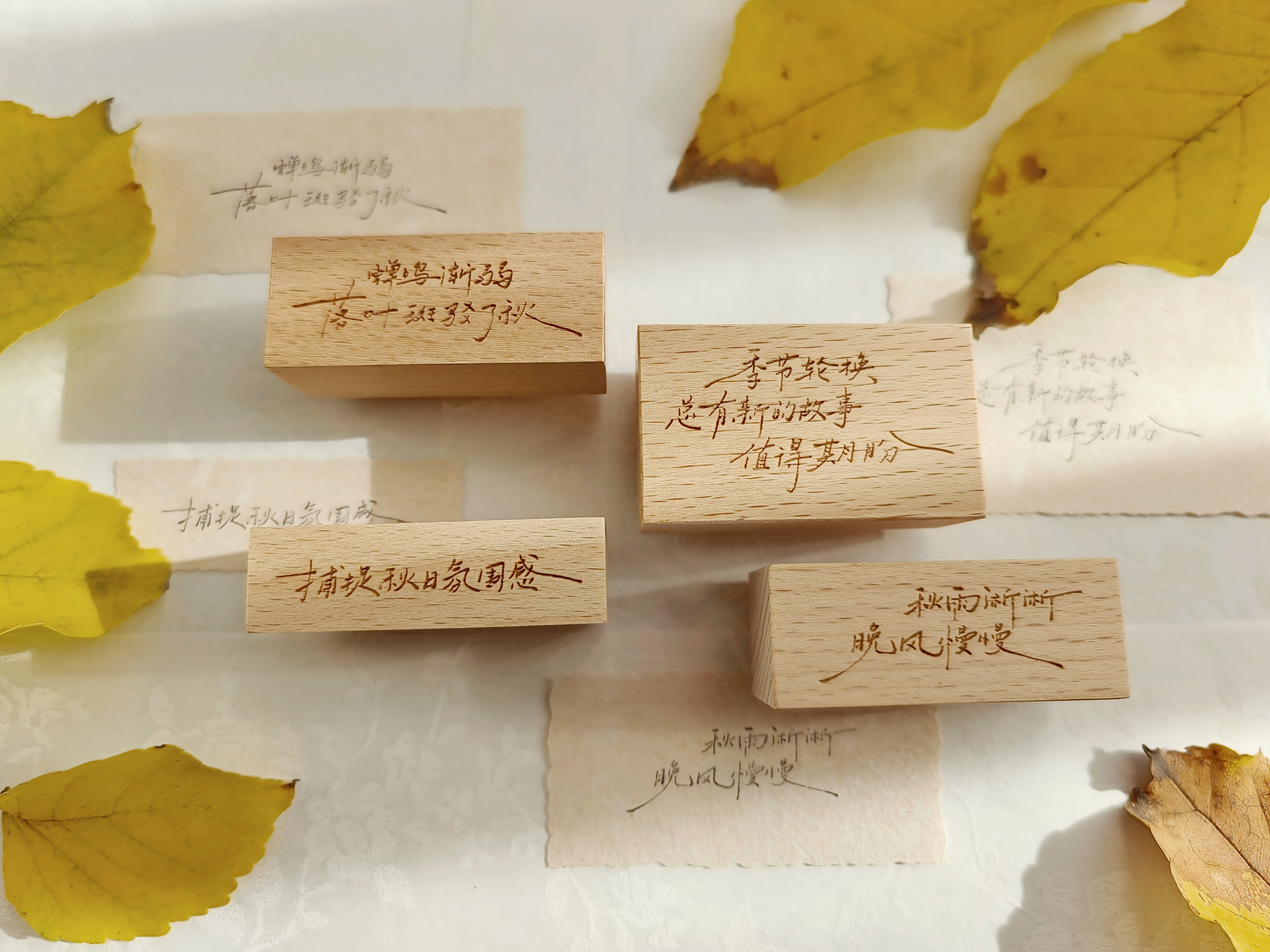 两只浣熊王大喵文字实木手写