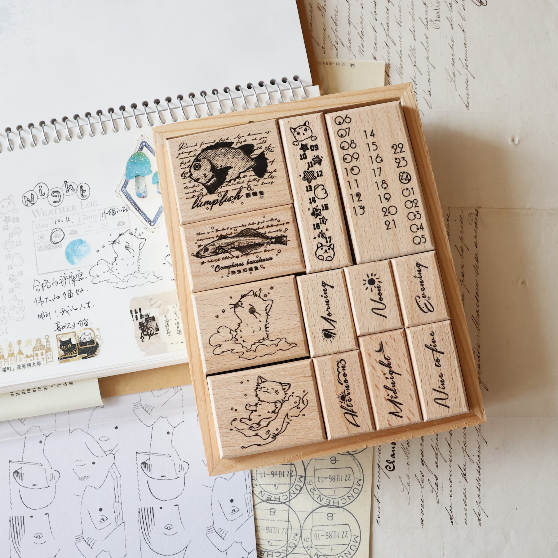 两只浣熊漫漫海央新品鱼小猫印章