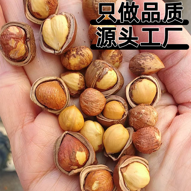 东北特产榛子2025新货新鲜野生铁岭开原炒熟开口水漏手剥原味坚果